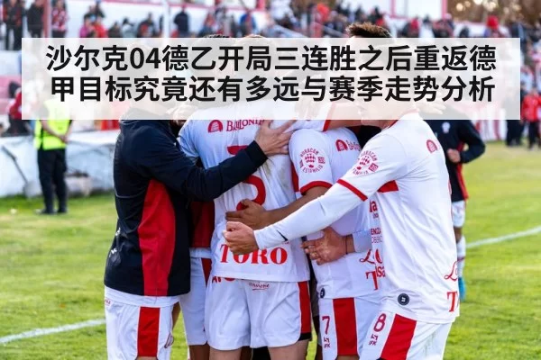 沙尔克04德乙开局三连胜之后重返德甲目标究竟还有多远与赛季走势分析